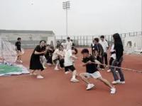 包含布莱顿训练开放日，国际比赛日队长鼓劲引欢呼，葡超在即，团队化学反应显著的词条-ewc中国官网