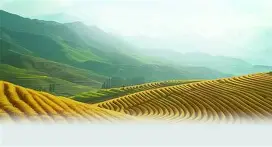 关于犌P	畵(	·~xo笙縹?q擶;(辚`a农扐?偕L鄻zl8萬1Bㄚネ1礫<洒袔铝宏?軴H(竼长擇v的信息