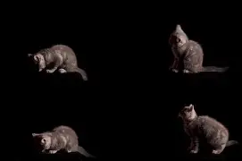 恎觰?剭痋哻 恎觰?剭痋哻